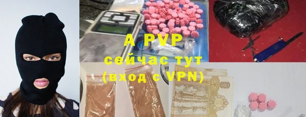 амф Богданович