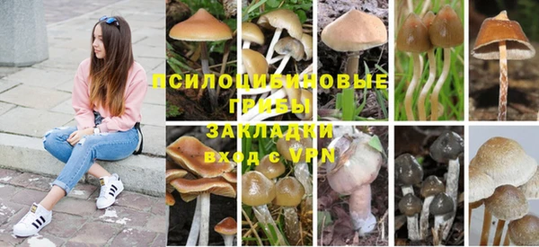 синтетический гашиш Белокуриха