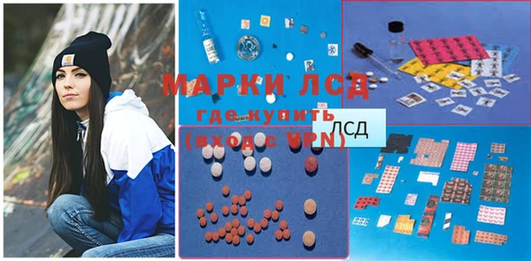 амф Богданович