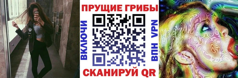цена   Коряжма  даркнет наркотические препараты  Галлюциногенные грибы GOLDEN TEACHER 